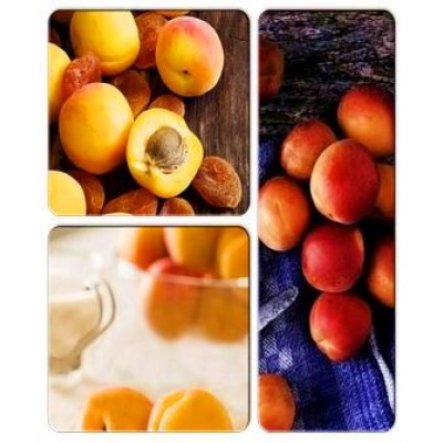 Абрикос > коллекция из 3-х сортов: Абрикос Зоряный => Абрикос Леала => Абрикос Ледана